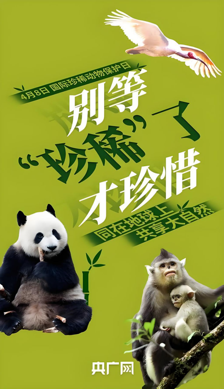漫画资讯3